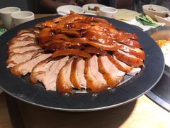 -守柴炉烤鸭(科华中路王府井店)