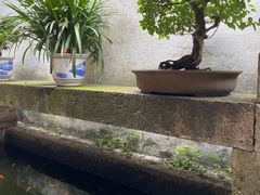 -绍兴鲁迅故里·沈园景区