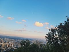 -长虫山生态公园风景林