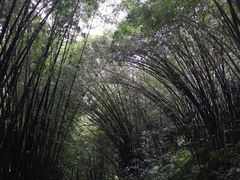 -赤水丹霞旅游区·佛光岩