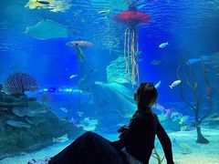 -沈阳海洋探索中心