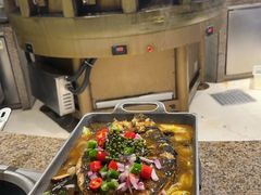 -美食小镇·观赏珍稀鸟类·长隆熊猫酒店
