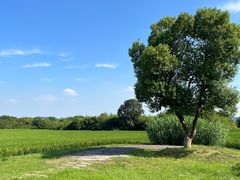 -良渚古城遗址公园