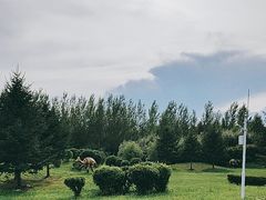 -嘉荫恐龙国家地质公园