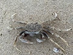 -玫瑰海岸文化旅游度假区