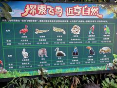 -广州长隆飞鸟乐园