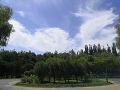 -大兴滨河森林公园