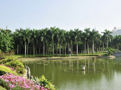 -南宁南湖公园