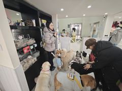 -汪说·狗咖·拼豆·宠物周边DIY(旺城大厦店)