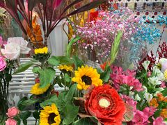 -双季花艺园艺市场(浦东店)