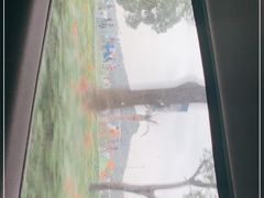 -上海月湖雕塑公园