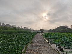 -前关湿地公园