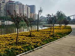 -雁滩公园
