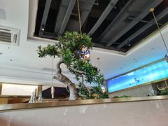大堂-马家斑.鲜鱼火锅(松湖万科店)