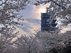 -牛首山文化旅游区