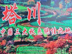 -塔川景区