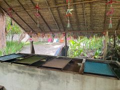 -大象粑粑造纸公园