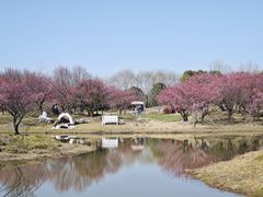 -花开海上生态园