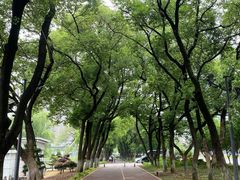 -南昌青山湖风景区