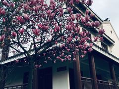-苏州吴宫泛太平洋酒店