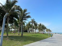 -龙泉人椰子鸡·糟粕醋·海南菜(龙昆南路店)