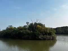 -大湾区中央湿地公园
