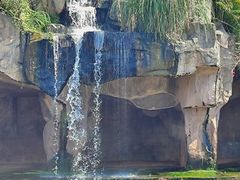 -海南热带野生动植物园