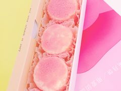 青梅芝士-蒲公英(五里店)
