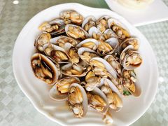美味炝腰蛤-新恬乐大酒家(沧达大厦店)
