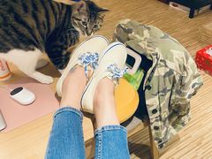 -VANS(三里屯太古里店)