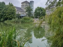 -长广溪湿地公园