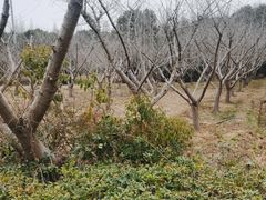 -同里国家湿地公园