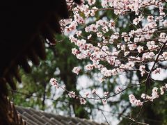 -颐和园