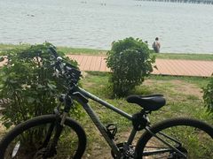 -丁香湖公园