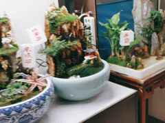-宝鸡东道花鸟鱼虫市场(吉利花园商场店)