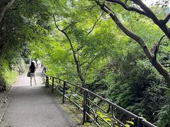 -三千院