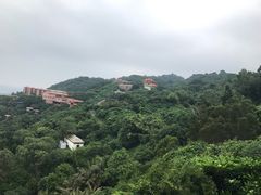 -放鸡岛生态旅游国际度假区