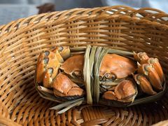 -蟹村草堂·苏式园林人文农家·大闸蟹