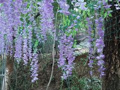 -宝岩生态观光园