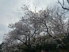 -南北湖风景区