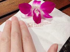 -三亚亚龙湾人间天堂鸟巢度假村