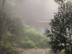-普陀山风景区-佛顶山