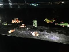 -同济大学四平路校区深海探索馆