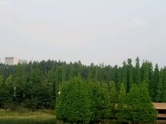 景点-秀丽东方