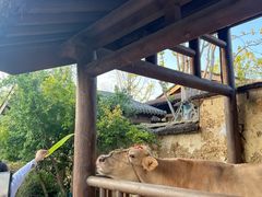 -南阳卧龙岗武侯祠