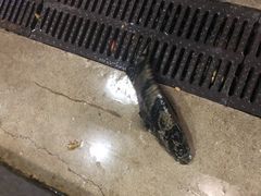 -真味馆(侨港碧海银滩店)