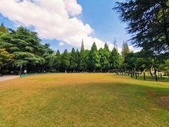 -瀛洲公园