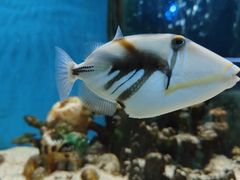 -荆州中山公园动物园