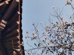 -黄鹤楼