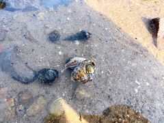-坝光海滩